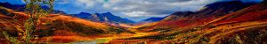 Der Indian Summer in Kanada: ein unglaubliches Farbenspiel!