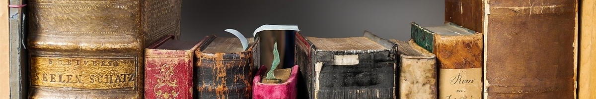 aufmacher-kanada-literatur Kanada-Literatur: handverlesene Ratgeber und Reiseführer.