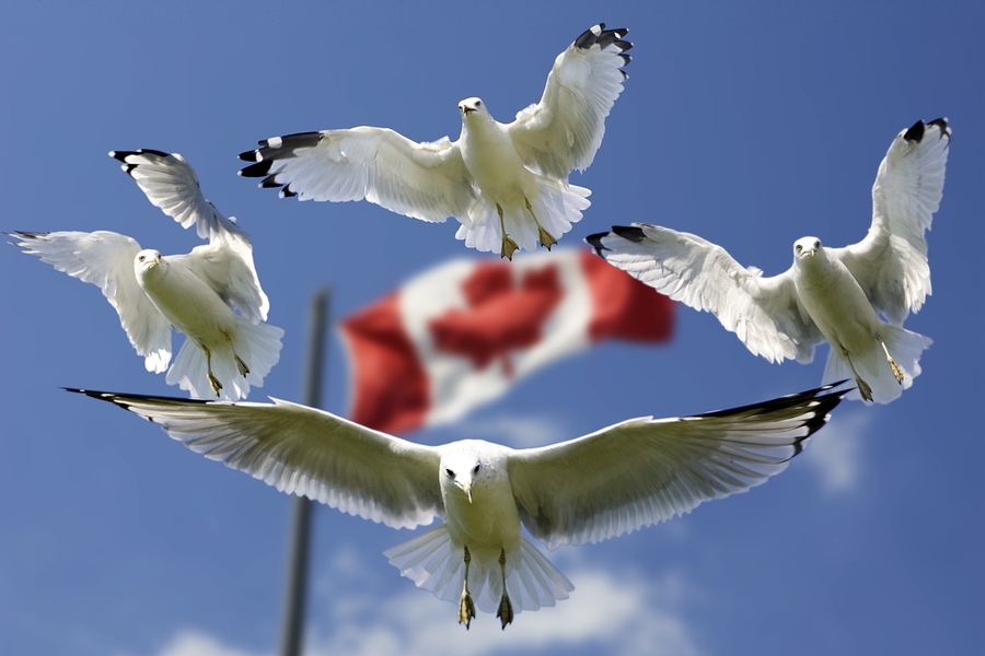 Kanada-Rundreisen bieten unvergessliche Eindrücke über Provinz- und Territorialgrenzen hinweg.