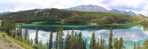 Wie keine andere kanadische Provinz bietet Yukon die Möglichkeit, die ursprüngliche und vielfältige Tierwelt der nordischen und arktischen Landschaften in freier Wildbahn zu erleben.